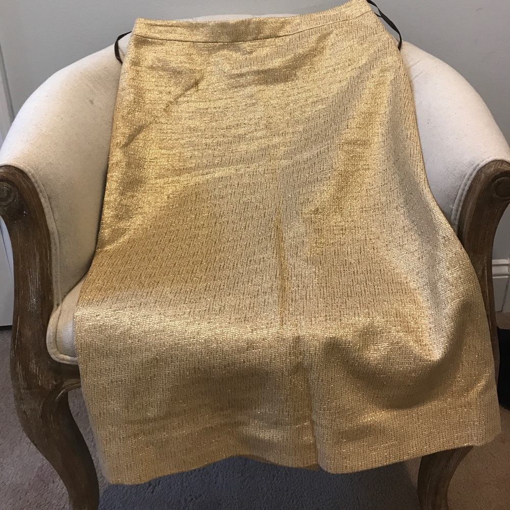 Vera wang skirt